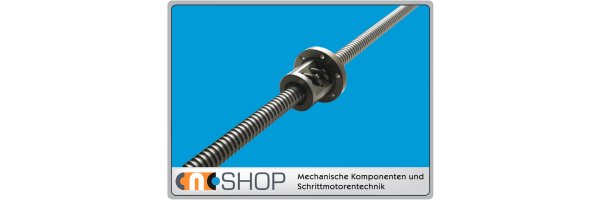 Ball screw