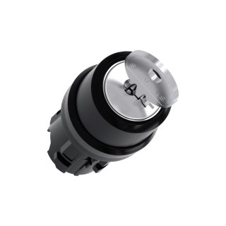 Schlüsselschalterkopf 22 mm 2 Positionen Rastend IP20
