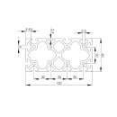 Profil 6 60x120, I-Typ, Zuschnitt 100 mm