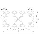 Profile 60x120 leicht per meter +/- 5 mm, I-Type, slot 6