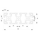 Profile 40x120 leicht - 100 mm I-Type, slot 8