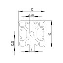 Profile 40x40 3N leicht - 100 mm I-Type, slot 8