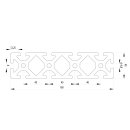 Profile 40x160 per meter +/- 5 mm, I-Type, slot 8