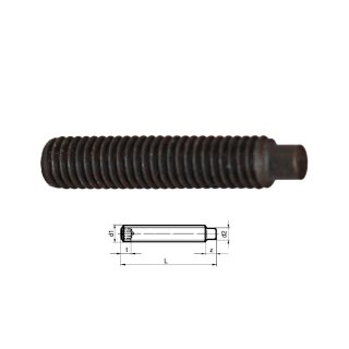 Hexagon socket set screw DIN915 M 8x10 dog point 10x